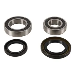 Pivot Works Rear Wheel Bearing Kit