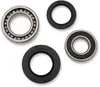 Pivot Works Rear Wheel Bearing Kit