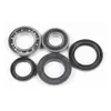 Pivot Works Rear Wheel Bearing Kit