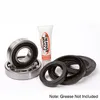 Pivot Works Rear Wheel Bearing Kit