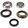 Pivot Works Rear Wheel Bearing Kit