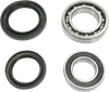 Pivot Works Rear Wheel Bearing Kit