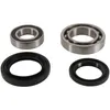 Pivot Works Rear Wheel Bearing Kit