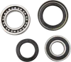 Pivot Works Rear Wheel Bearing Kit
