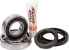 Pivot Works Rear Wheel Bearing Kit