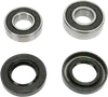Pivot Works Rear Wheel Bearings Kit