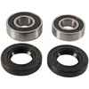 Pivot Works Rear Wheel Bearings Kit