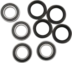 Pivot Works Rear Wheel Bearing Kit