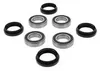 Pivot Works Rear Wheel Bearing Kit