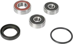 Pivot Works Rear Wheel Bearings Kit