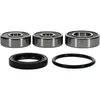 Pivot Works Rear Wheel Bearings Kit