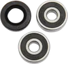 Pivot Works Rear Wheel Bearings Kit