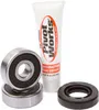 Pivot Works Rear Wheel Bearings Kit