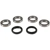 Pivot Works Rear Wheel Bearing Kit