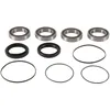 Pivot Works Rear Wheel Bearing Kit
