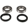 Pivot Works Rear Wheel Bearing Kit