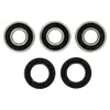 Pivot Works Rear Wheel Bearing Kit