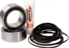 Pivot Works Rear Wheel Bearing Kit