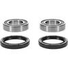 Pivot Works Rear Wheel Bearing Kit