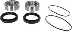 Pivot Works Rear Wheel Bearing Kit