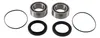 Pivot Works Rear Wheel Bearing Kit
