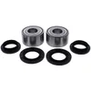 Pivot Works Rear Wheel Bearing Kit