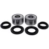 Pivot Works Rear Wheel Bearing Kit
