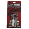 Pivot Works Swingarm Bearing Kit