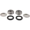 Pivot Works Swing Arm Bearing Kit