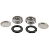 Pivot Works Swing Arm Bearing Kit