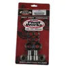 Pivot Works Swingarm Bearing Kit