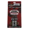 Pivot Works Swingarm Bearing Kit