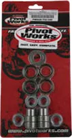 Pivot Works Swingarm Bearing Kit