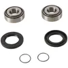 Pivot Works Swing Arm Bearing Kit