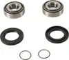 Pivot Works Swing Arm Bearing Kit