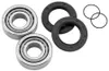 Pivot Works Swing Arm Bearing Kit