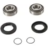Pivot Works Swing Arm Bearing Kit