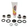 Pivot Works Rear Shock Bearing Kit