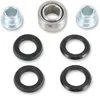 Pivot Works Rear Shock Bearing Kit