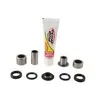 Pivot Works Rear Shock Bearing Kit