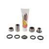Pivot Works Rear Shock Bearing Kit