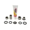 Pivot Works Rear Shock Bearing Kit