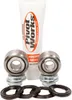 Pivot Works Rear Shock Bearing Kit