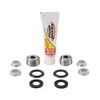 Pivot Works Rear Shock Bearing Kit