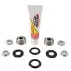 Pivot Works Rear Shock Bearing Kit