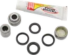Pivot Works Rear Shock Bearing Kit
