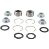 Pivot Works Rear Shock Bearing Kit