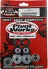Pivot Works Rear Shock Bearing Kit