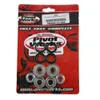 Pivot Works Rear Shock Bearing Kit