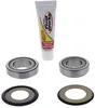 Pivot Works Steering Stem Bearing Kit